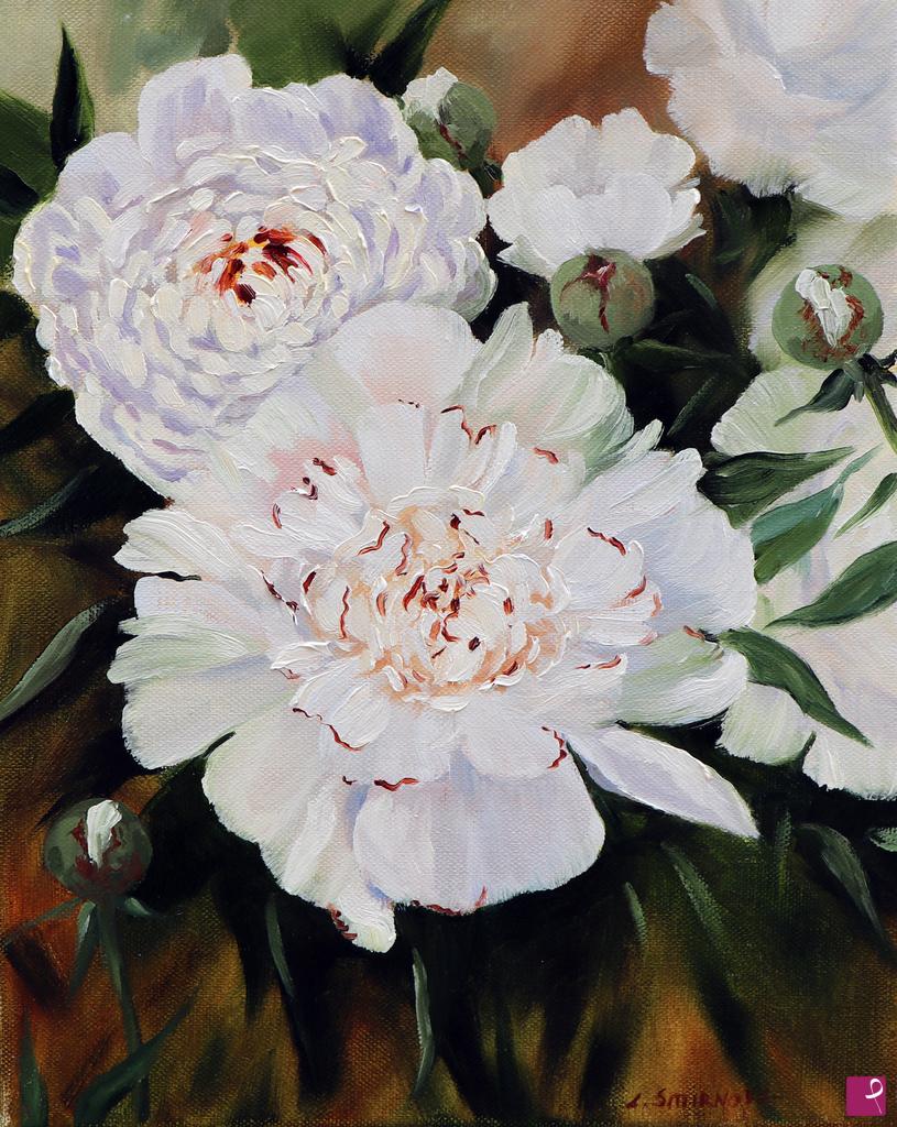 quadri in vendita online - Peonia bianca