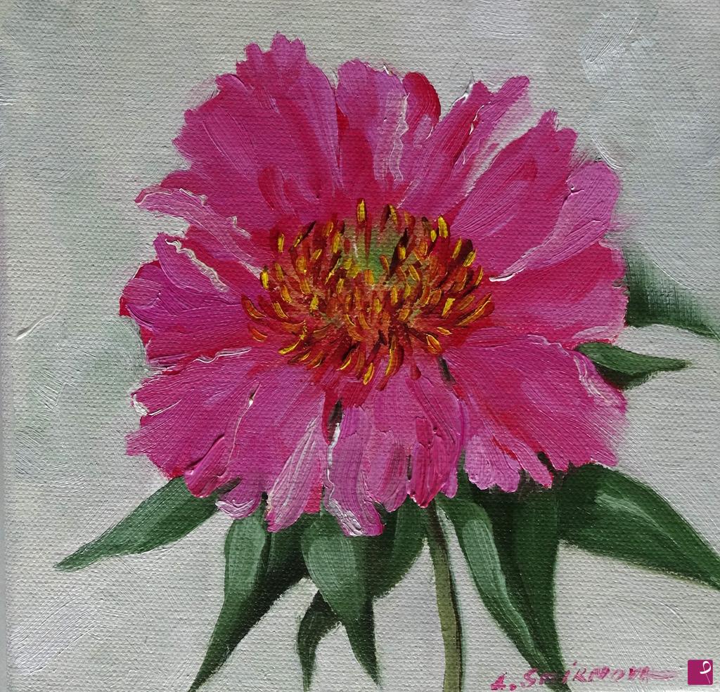 quadri in vendita online - Peonia rosa