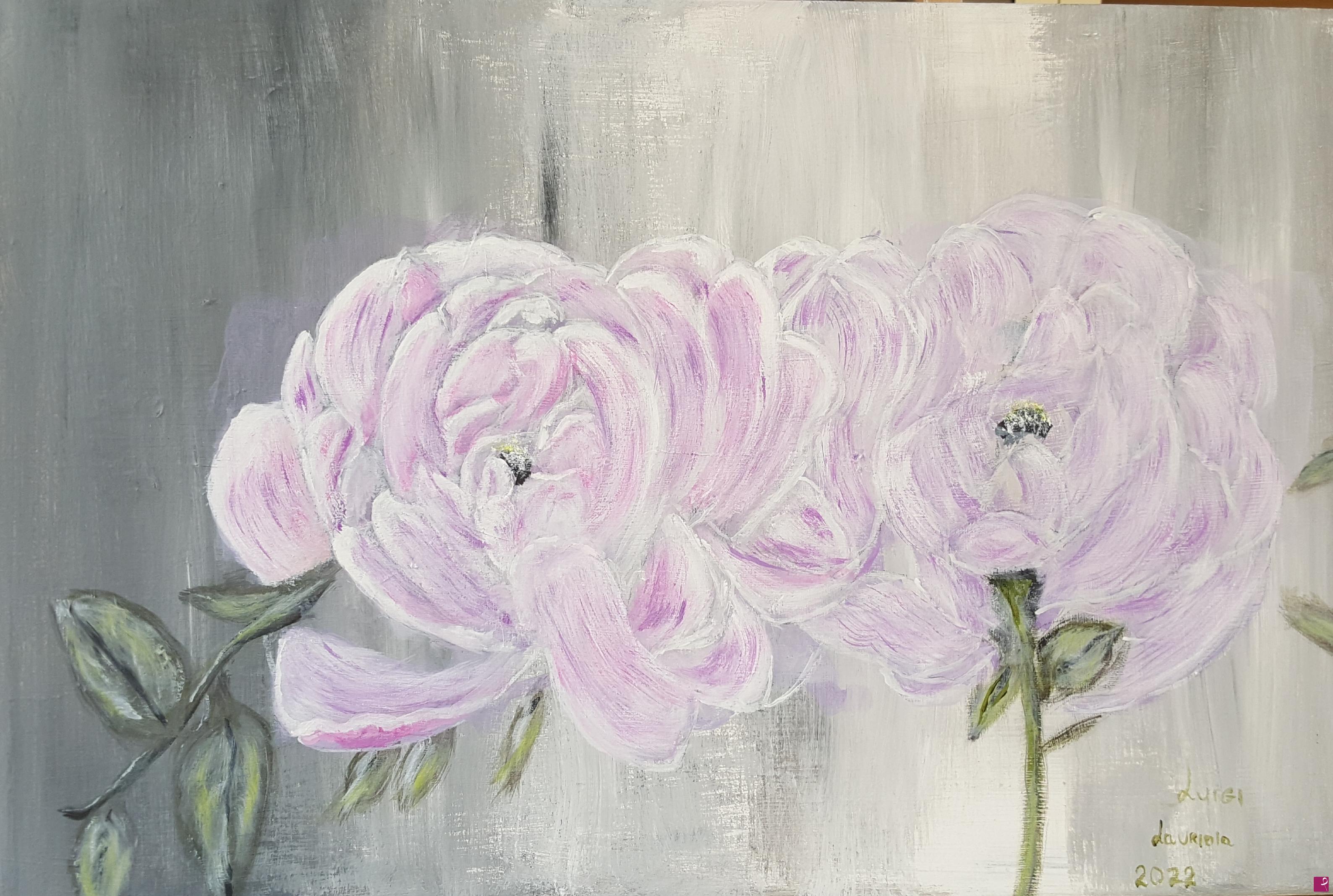 quadri in vendita online - Peonia rosa 