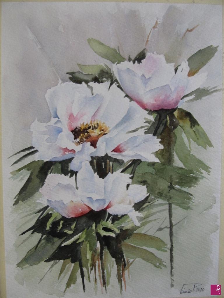 quadri in vendita online - Peonie
