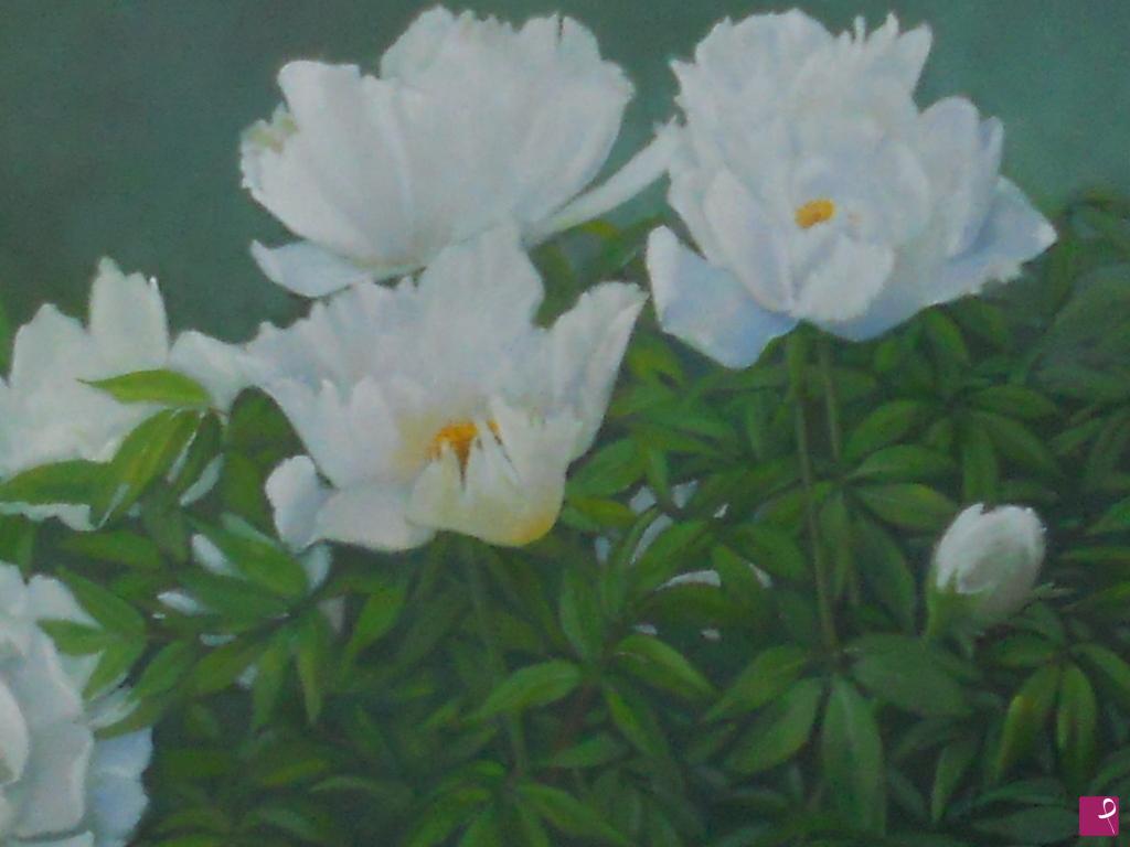 quadri in vendita online - PEONIE BIANCHE