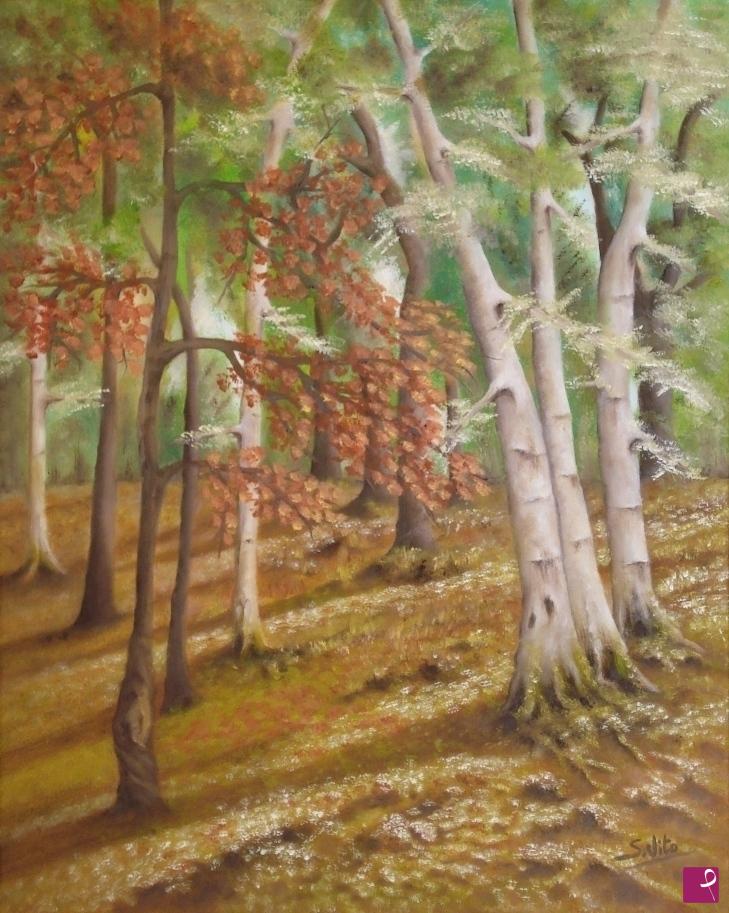quadri in vendita online - Perso nel bosco