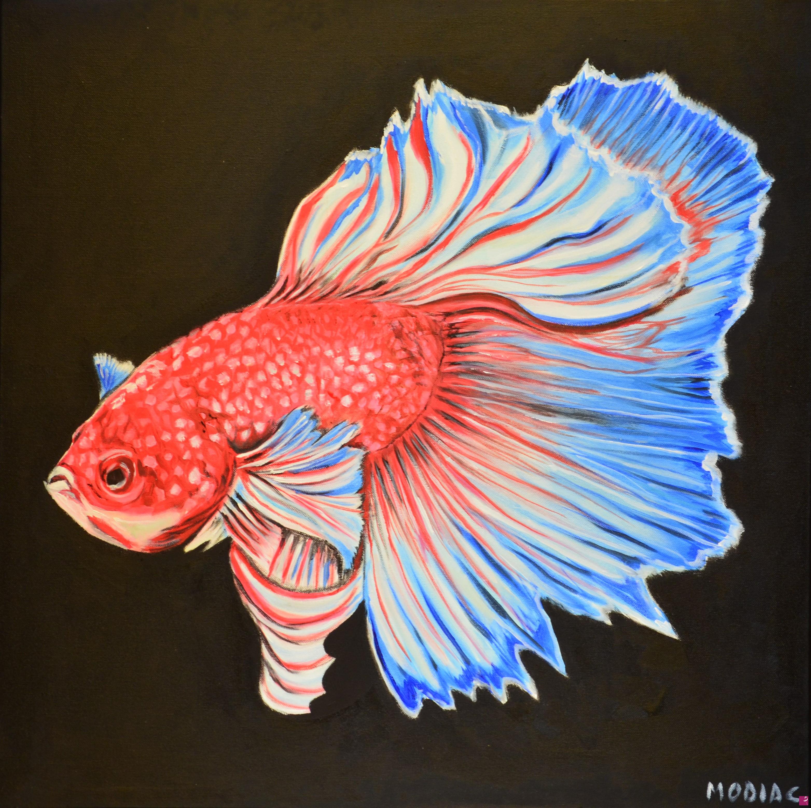 quadri in vendita online - Pesce combattente_3