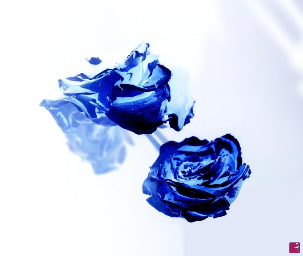 quadri in vendita online - Petali blu
