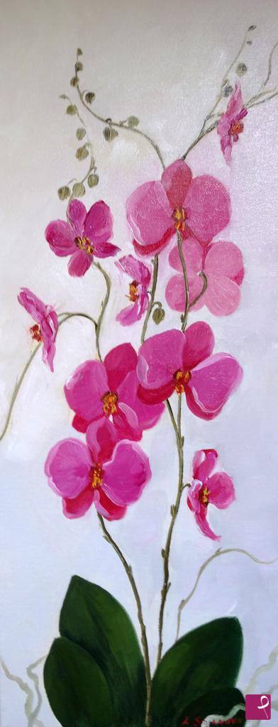 quadri in vendita online - Phalaenopsis 