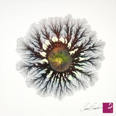Quadro venduto su PitturiAmo