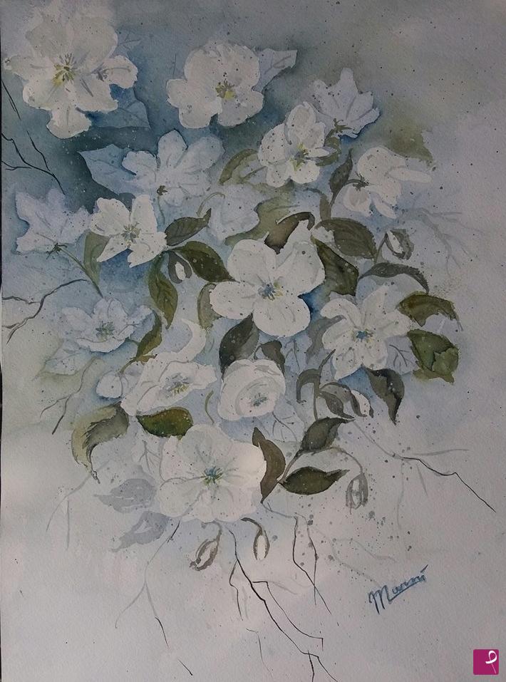 quadri in vendita online - philadelphus o fiori dell'angelo