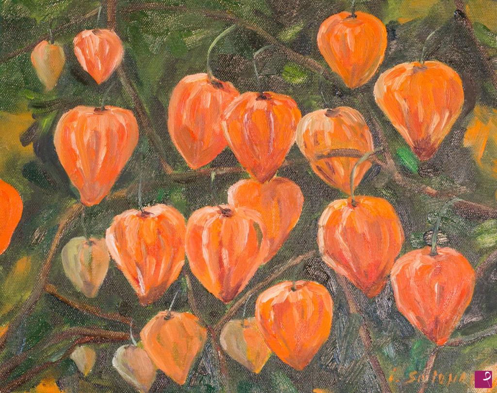 quadri in vendita online - Physalis