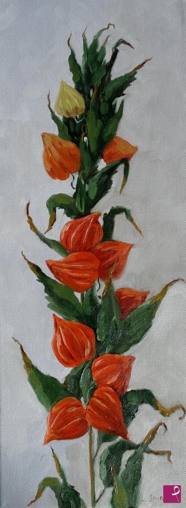 quadri in vendita online - Physalis