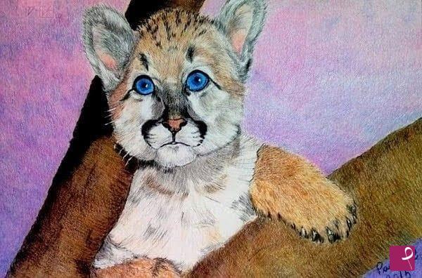 quadri in vendita online - PICCOLO PUMA