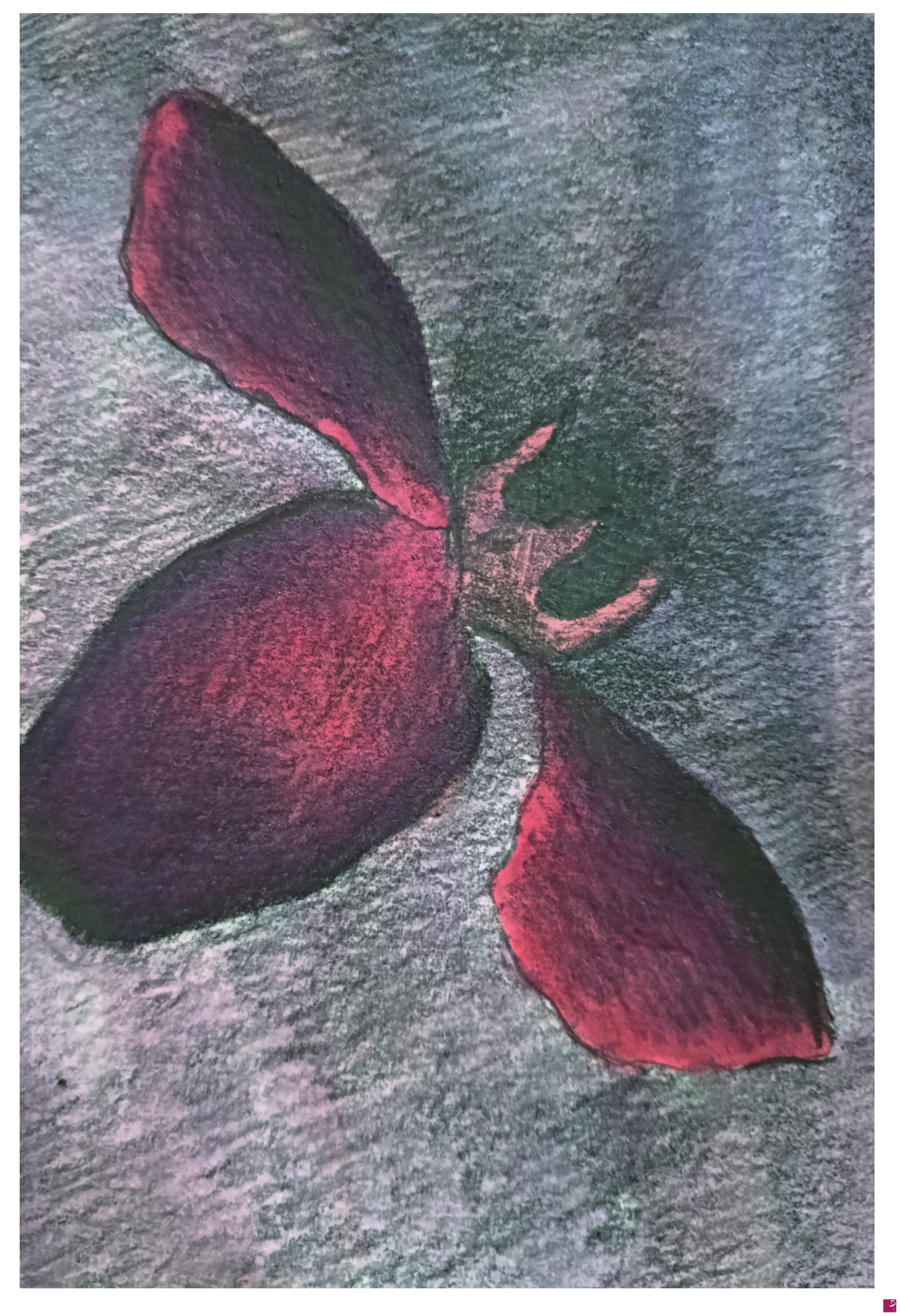 quadri in vendita online - Piccolo studio di orchidea rossa