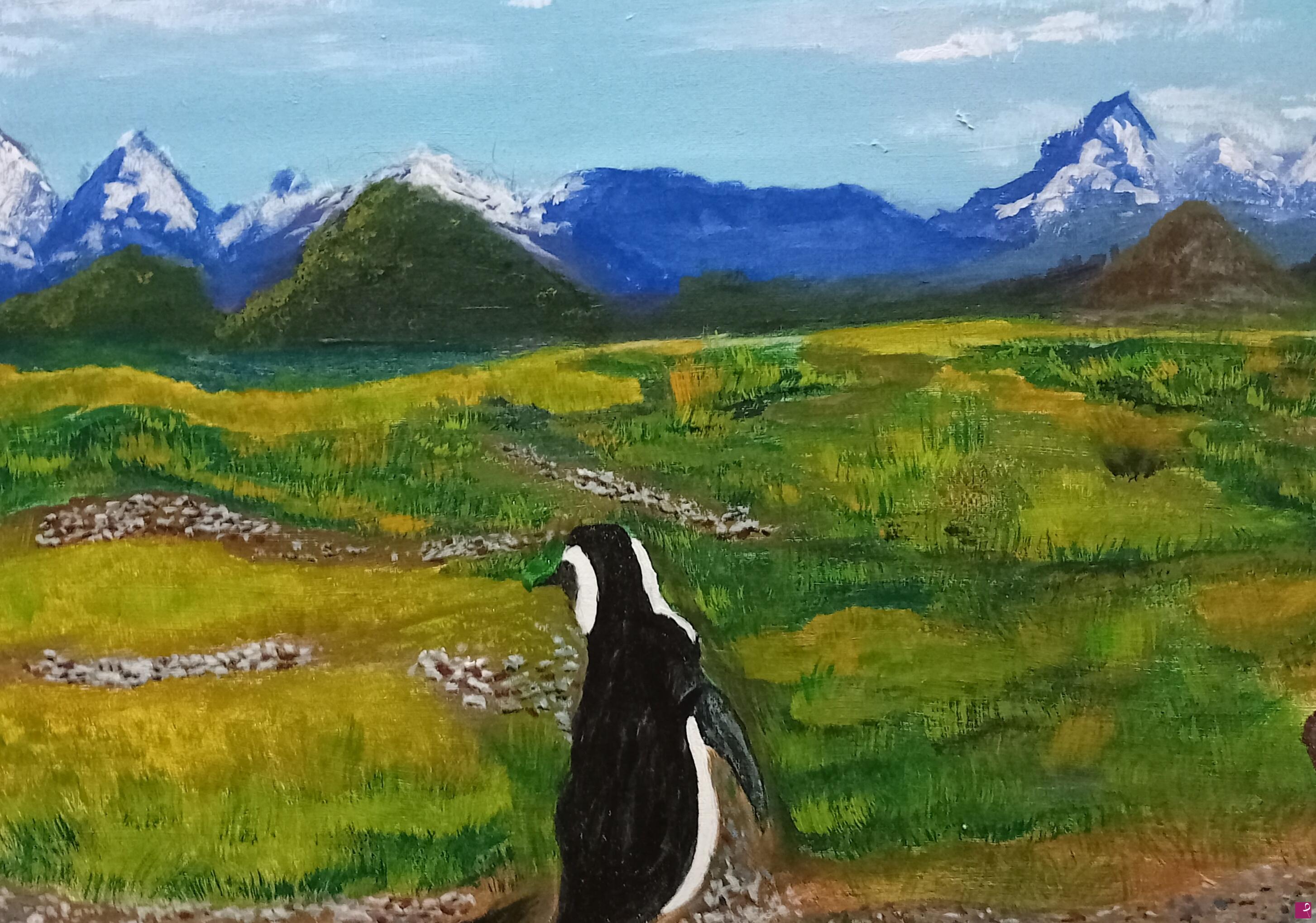 quadri in vendita online - Pinguino della Patagonia 