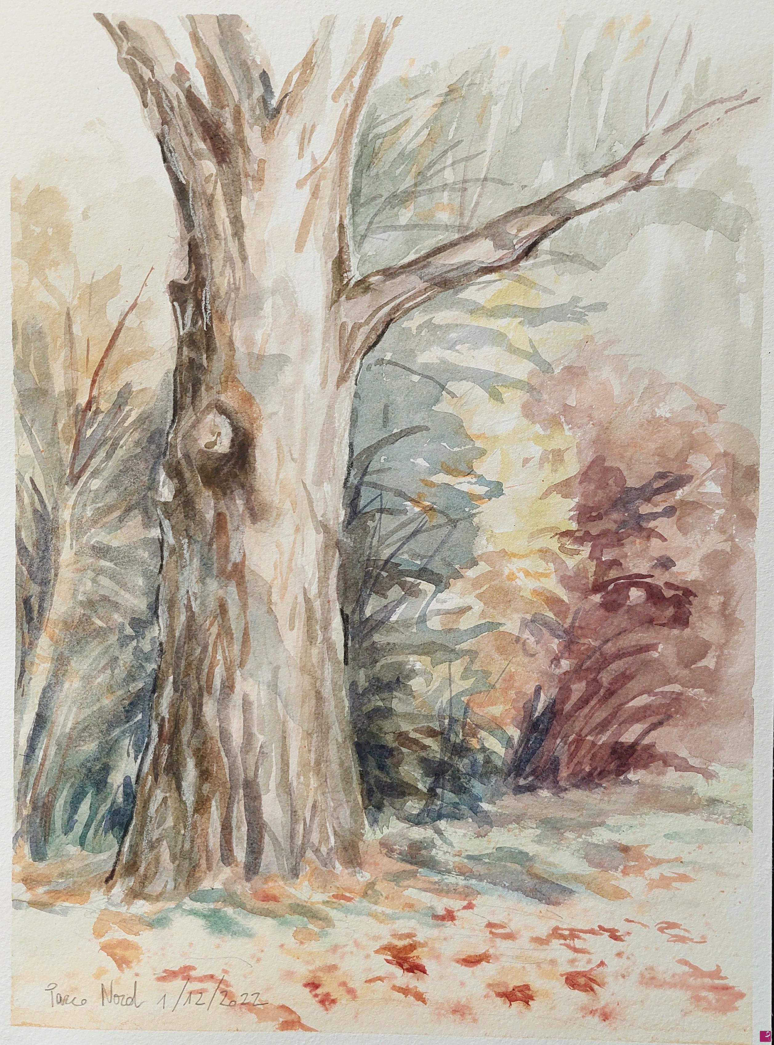 quadri in vendita online - Plein air al Parco Nord - 1 dicembre 2022
