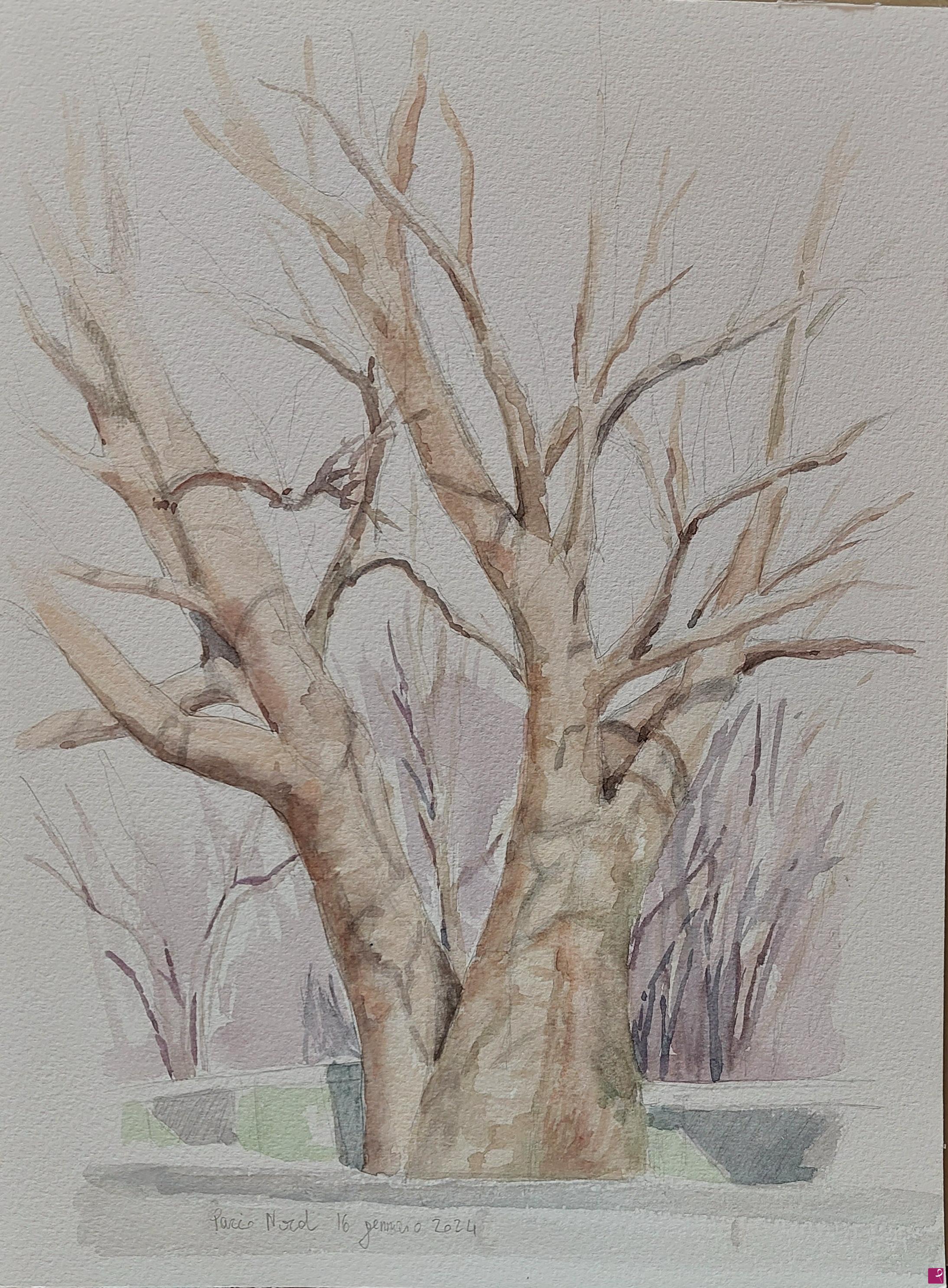 quadri in vendita online - Plein air al Parco Nord - 16 gennaio 2024