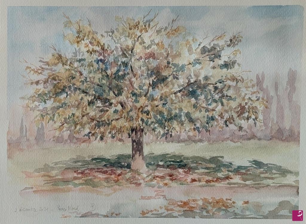 quadri in vendita online - Plein air al Parco Nord - 2 dicembre 2021