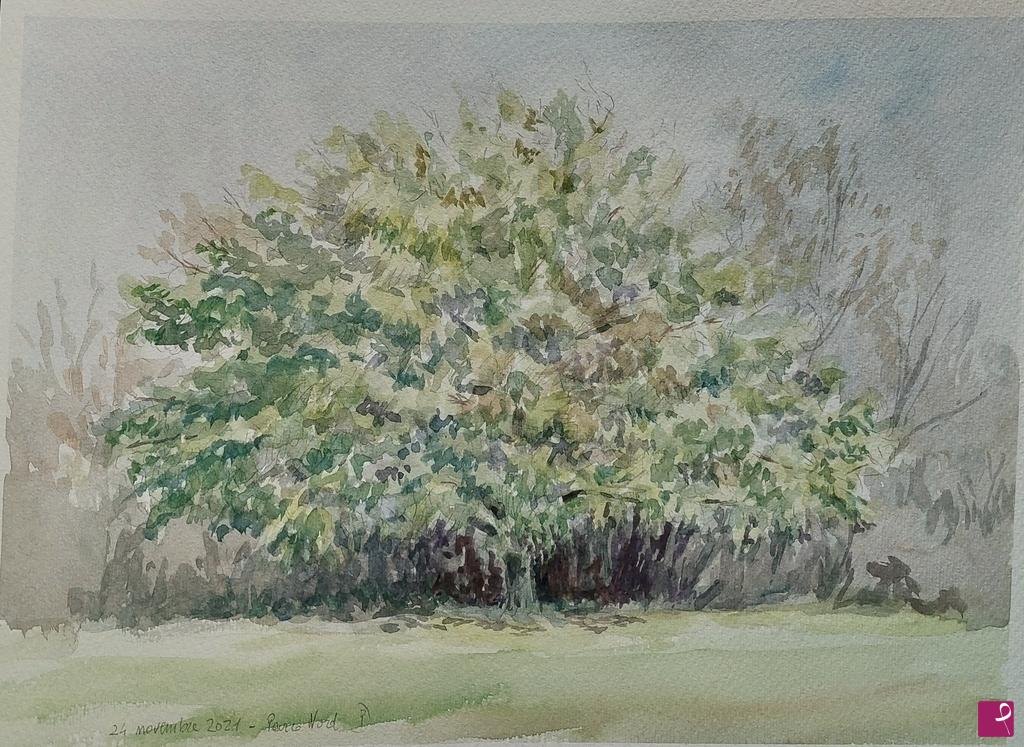quadri in vendita online - Plein air al Parco Nord - 24 novembre 2021