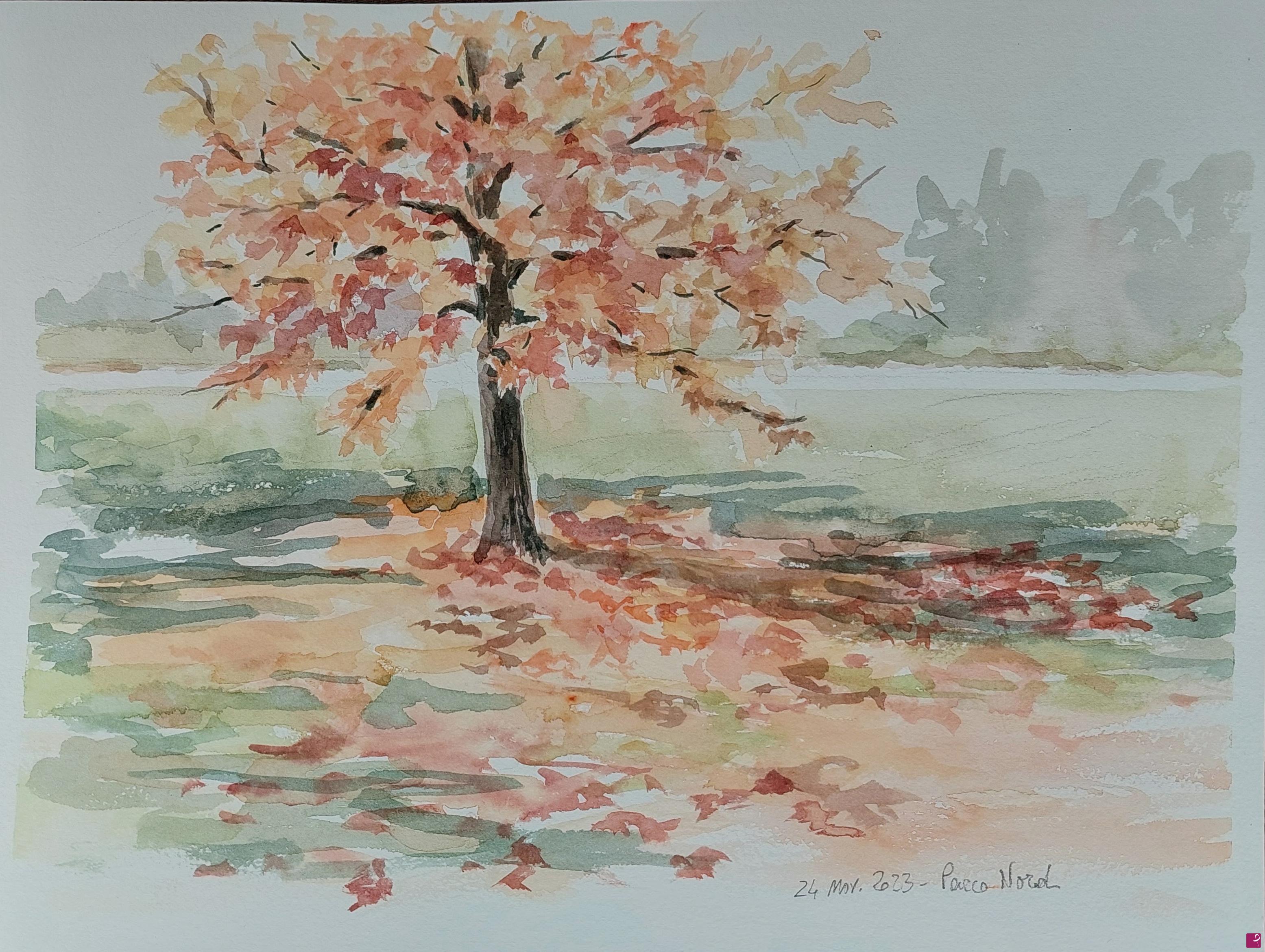 quadri in vendita online - Plein air al Parco Nord - 24 novembre 2023