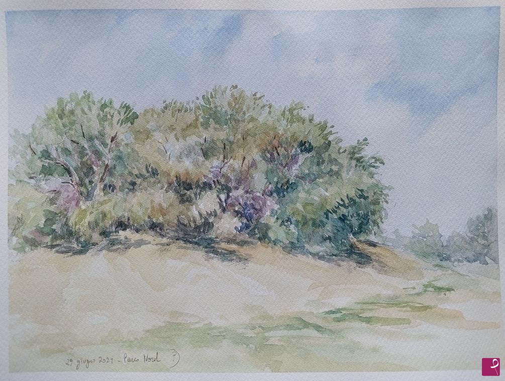 quadri in vendita online - Plein air al Parco Nord - 29 giugno 2021