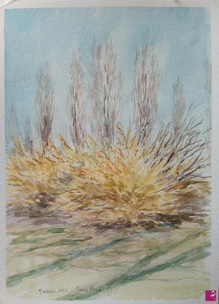 quadri in vendita online - Plein air al Parco Nord - 9 marzo 2022