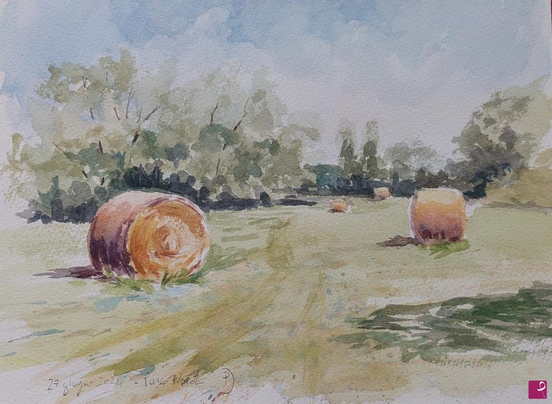 quadri in vendita online - Plein air al Parco Nord, 27 giugno 2024