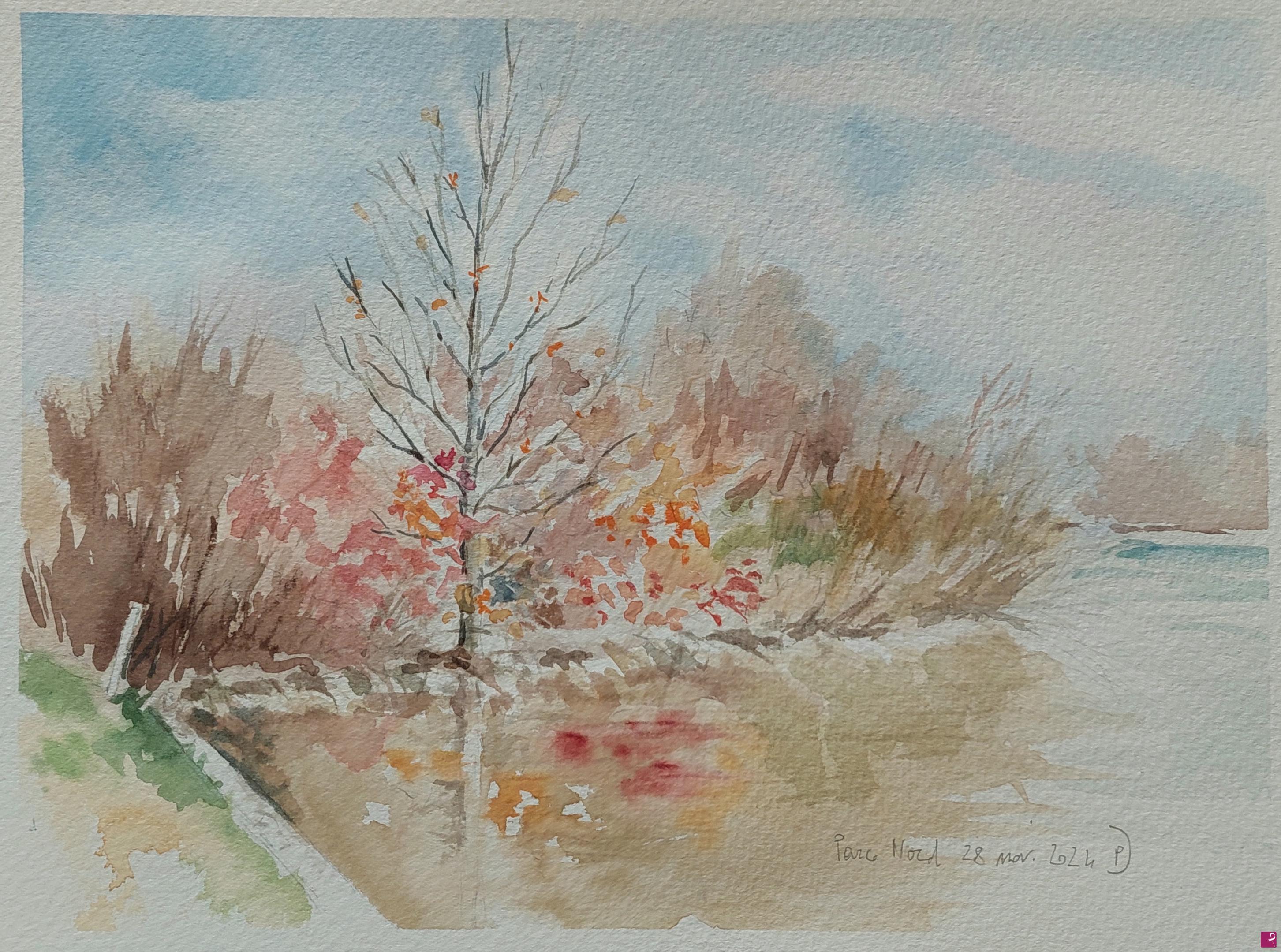 quadri in vendita online - Plein air al Parco Nord, 29 novembre 2024