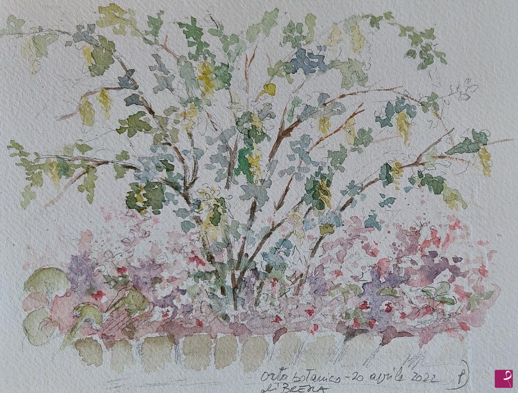 quadri in vendita online - Plein air all'Orto Botanico di Brera, aprile 2022