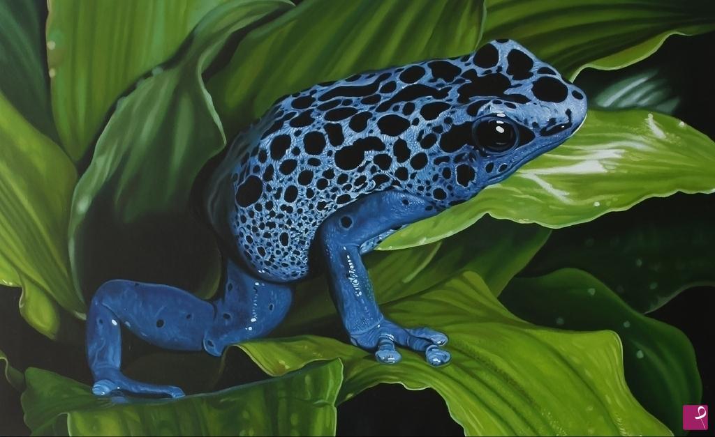 quadri in vendita online - "POISON DAENDROBATIDAE"