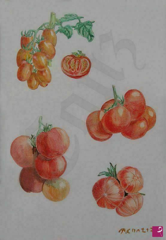 quadri in vendita online - Pomodori