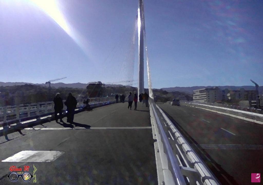quadri in vendita online - Ponte di Calatrava a Cosenza - Veduta frontale 