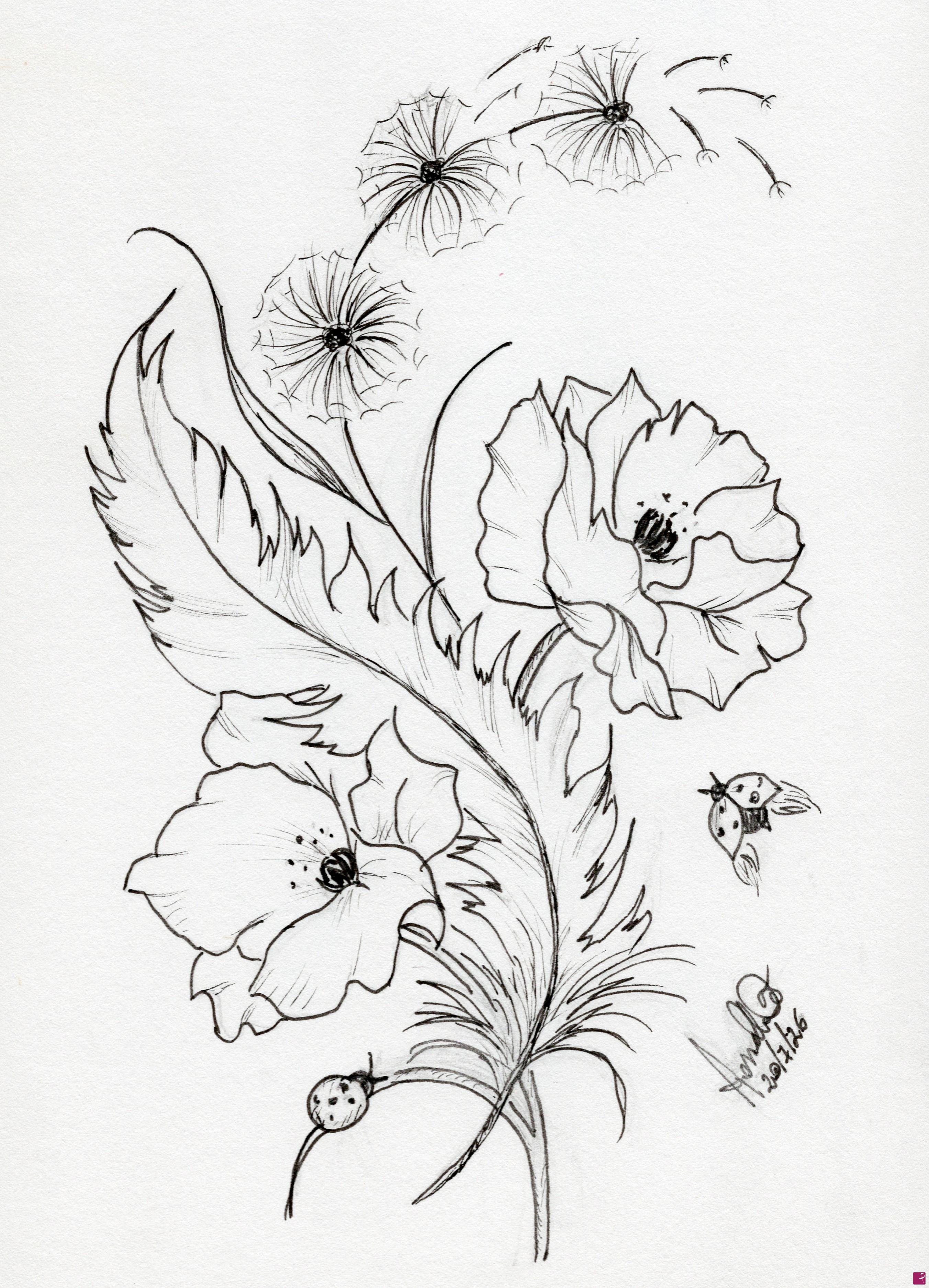 quadri in vendita online - Poppies Sketch