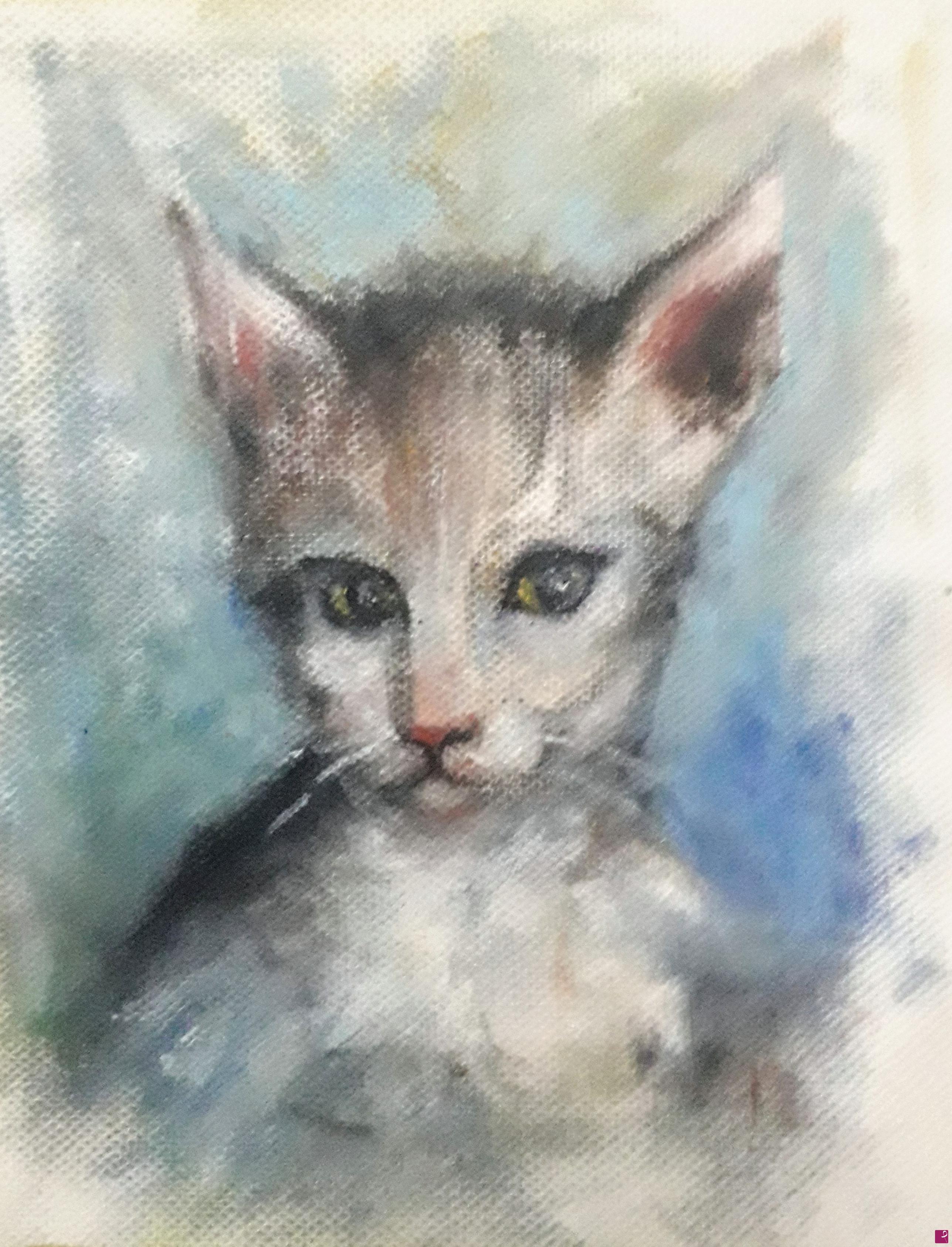 quadri in vendita online - Portait of my cat 