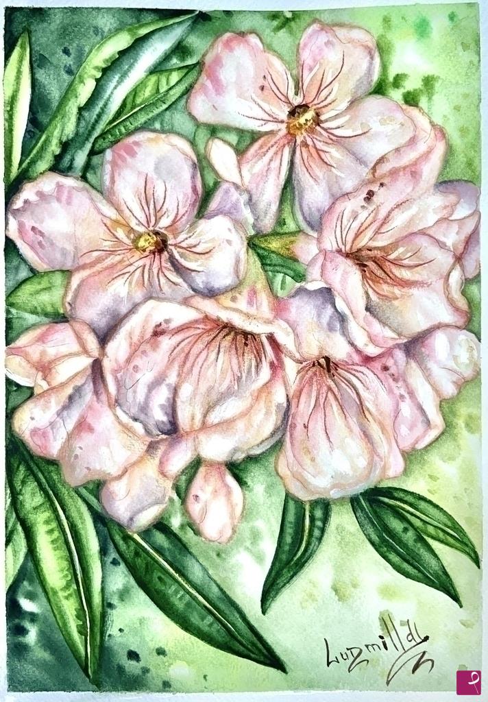 quadri in vendita online - Poster stampa originale con fiori di oleandro