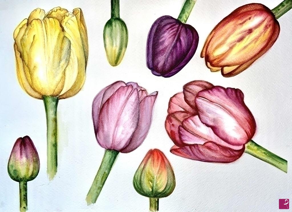 quadri in vendita online - Poster stampa originale con fiori di tulipani