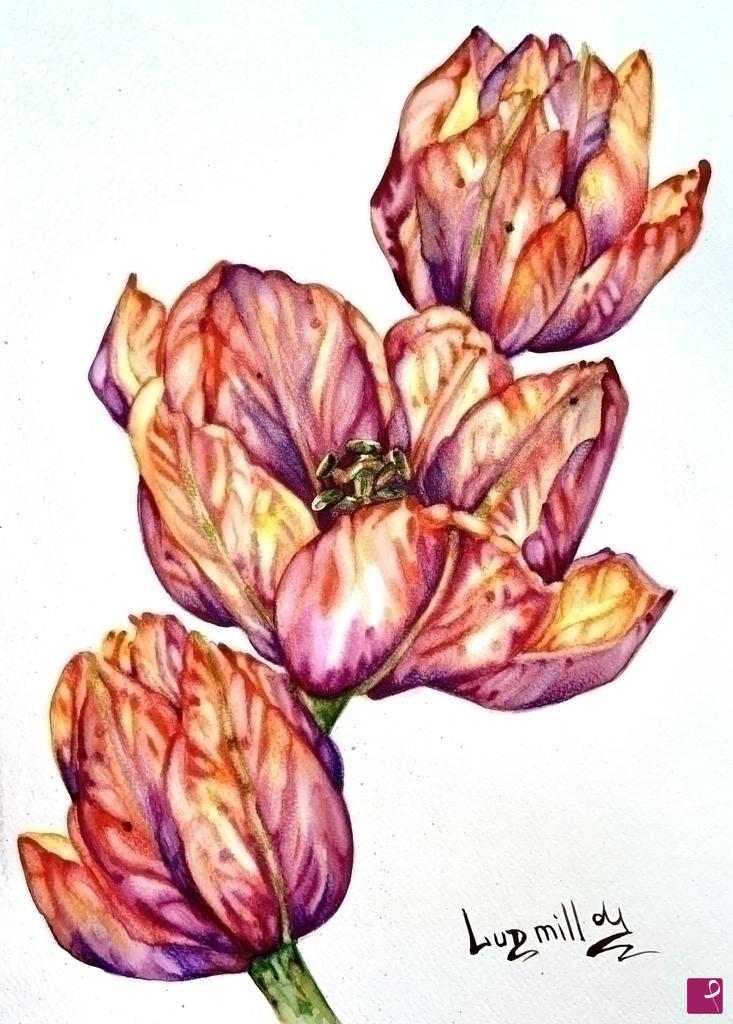 quadri in vendita online - Poster stampa originale con fiori di tulipani rossi