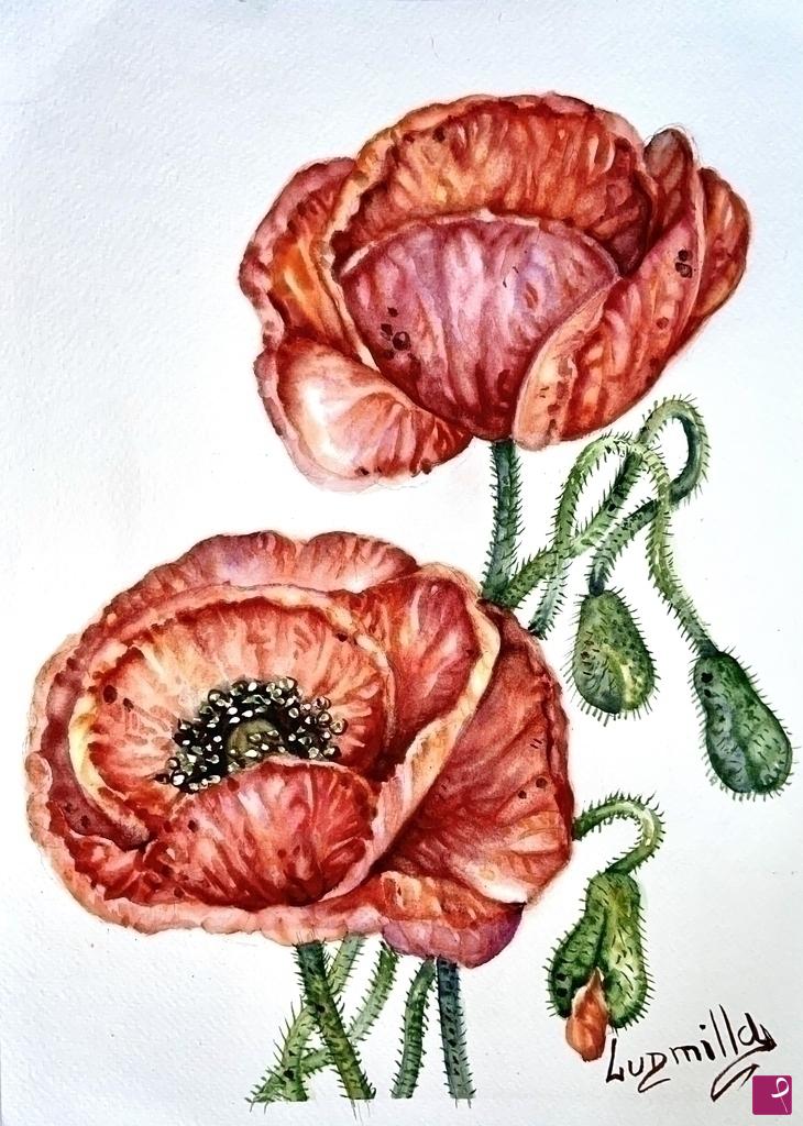 quadri in vendita online - Poster stampa originale con fiori papaveri