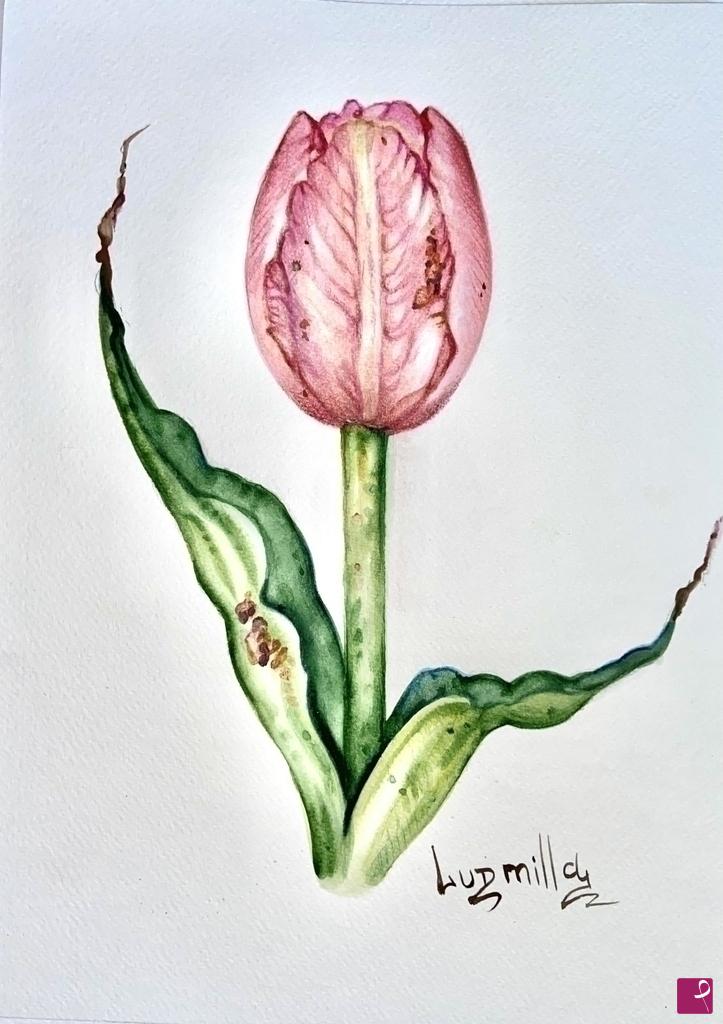 quadri in vendita online - Poster stampa originale con fiori tulipano rosa