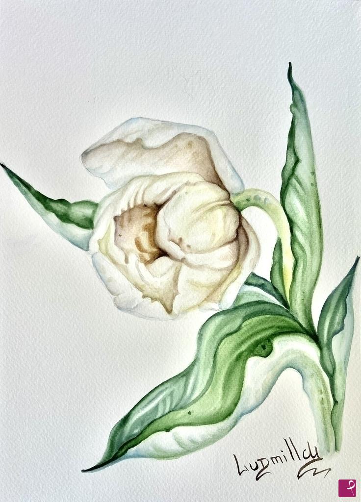quadri in vendita online - Poster stampa originale fiore bianco