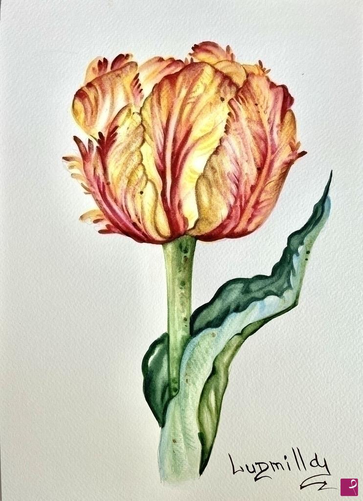 quadri in vendita online - Poster stampa originale fiore Tulipano arancione