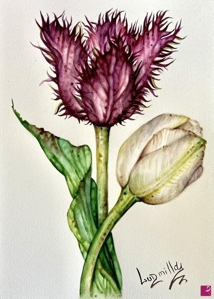 quadri in vendita online - Poster stampa originale fiori tulipani rosso e bianco