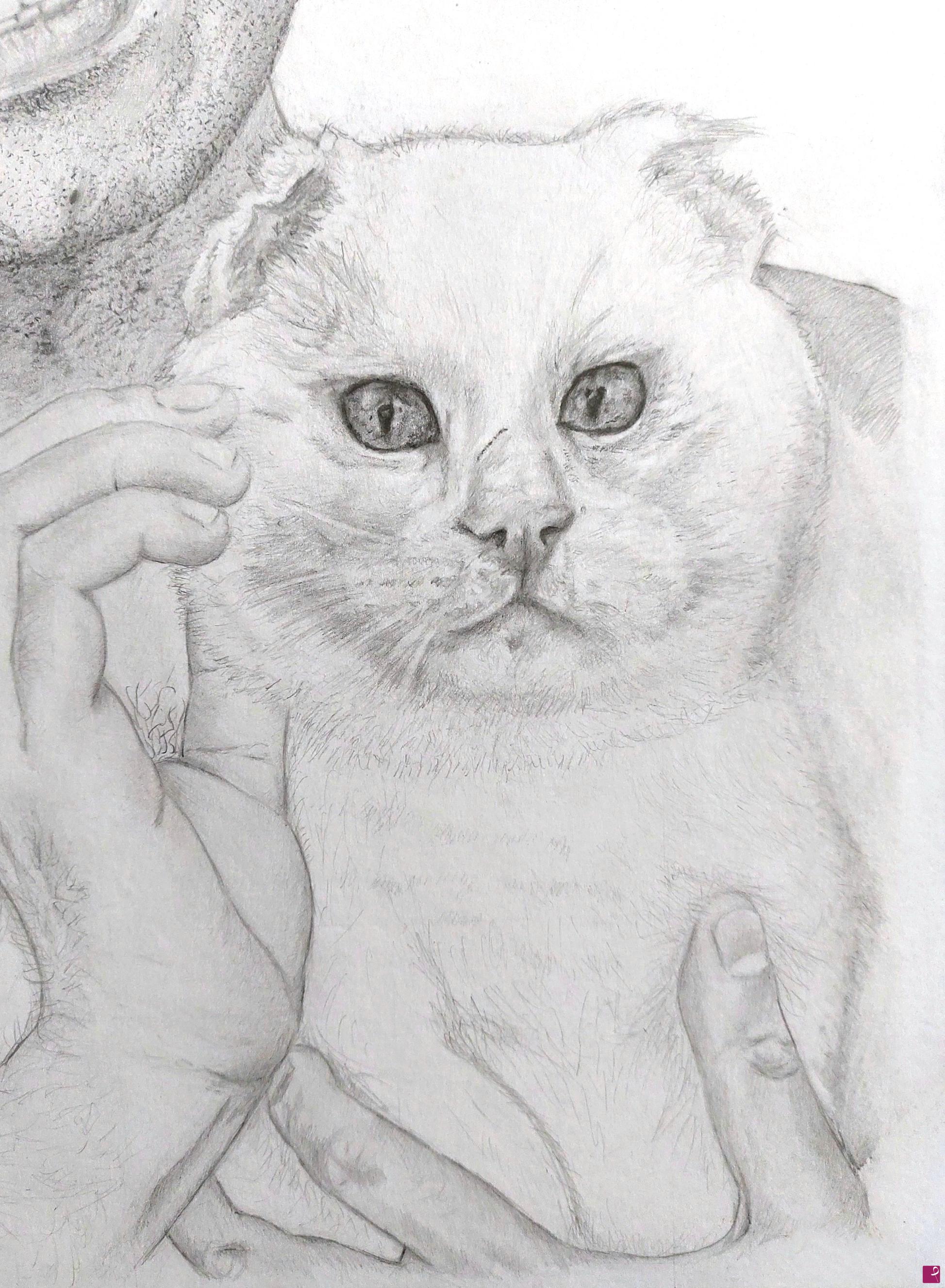 quadri in vendita online - Poto (Detail)
