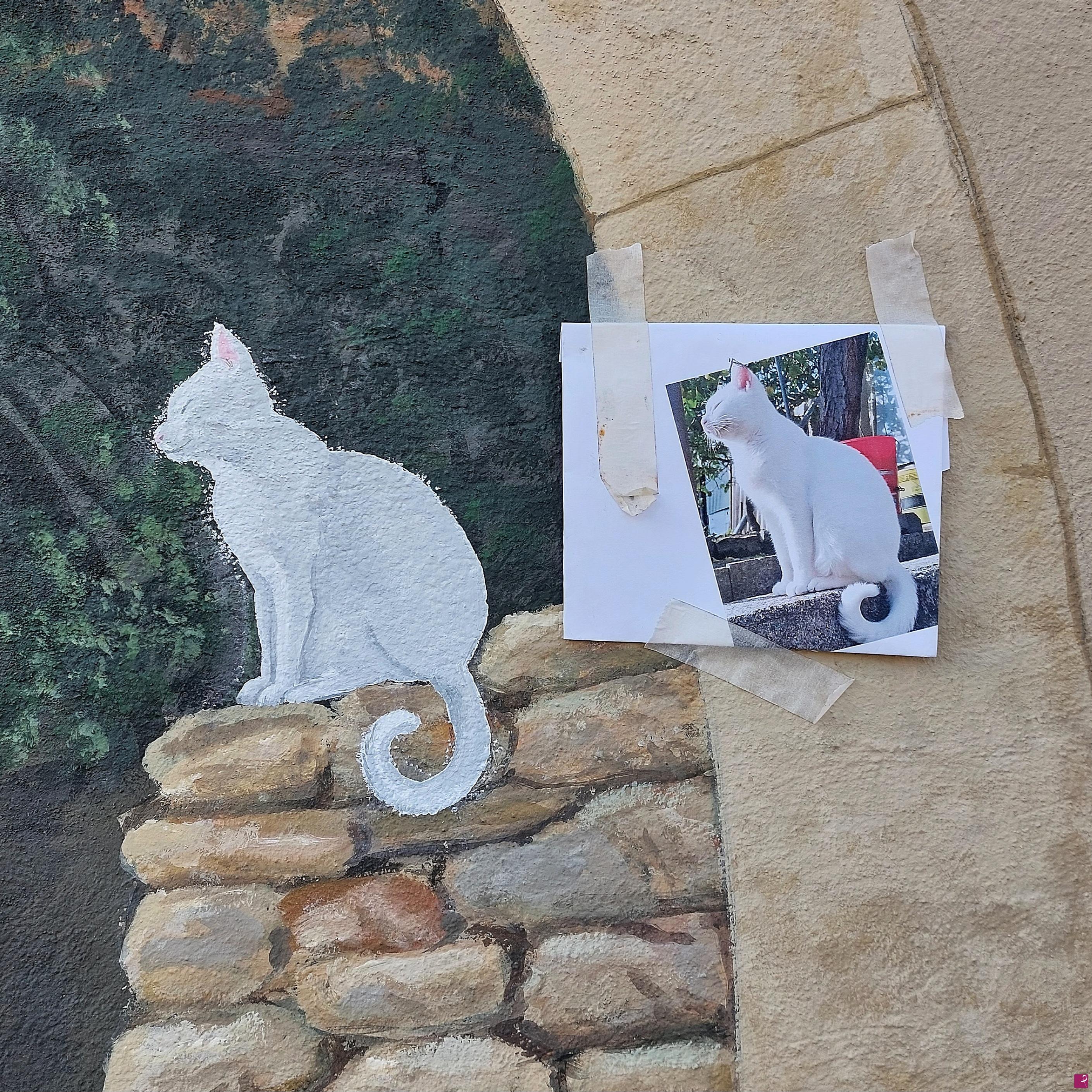 quadri in vendita online - Poto my beloved cat