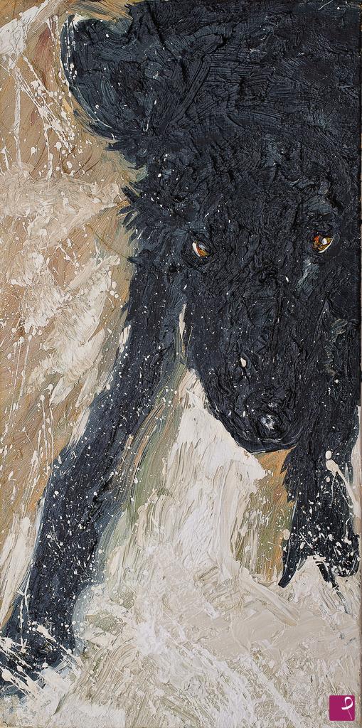 quadri in vendita online - Preston the Dog