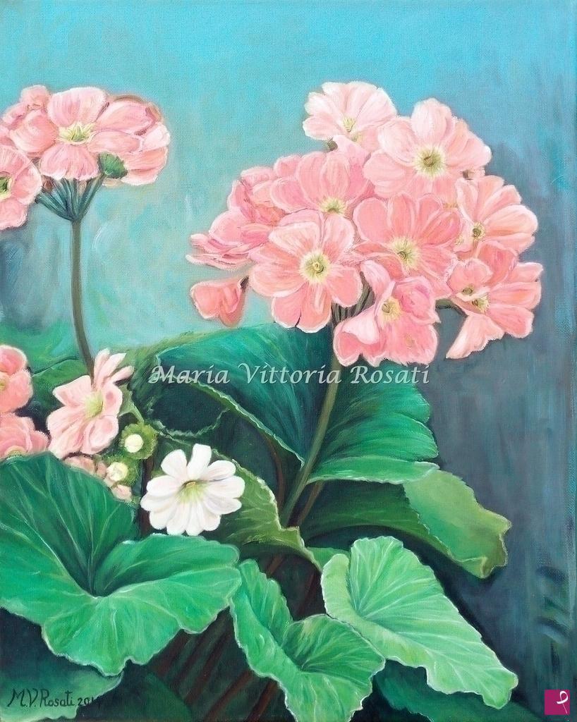 quadri in vendita online - PRIMULA OBCONICA