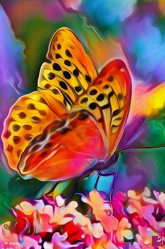 quadri in vendita online - Profumi colorati - Stampa Fine Art su Tela