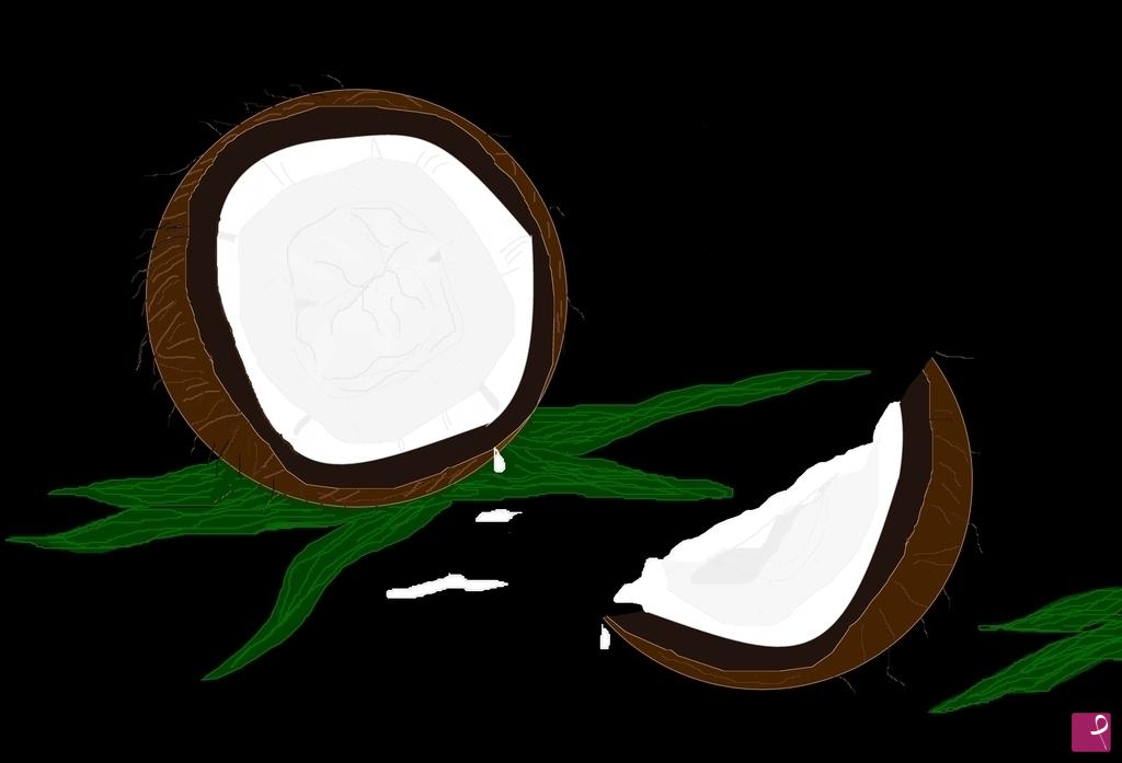 quadri in vendita online - profumo di cocco 