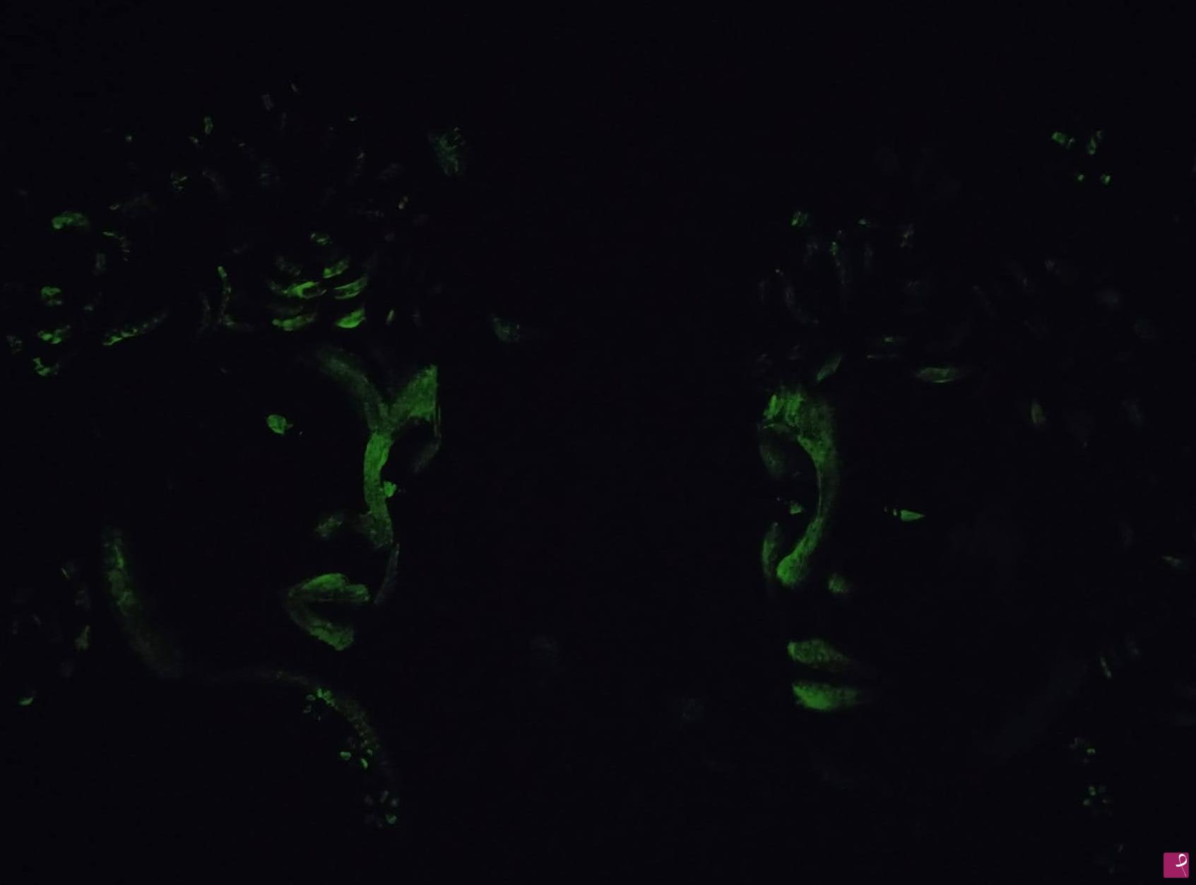 quadri in vendita online - ...PROSPETTIVE (b) visione in notturno...fluo
