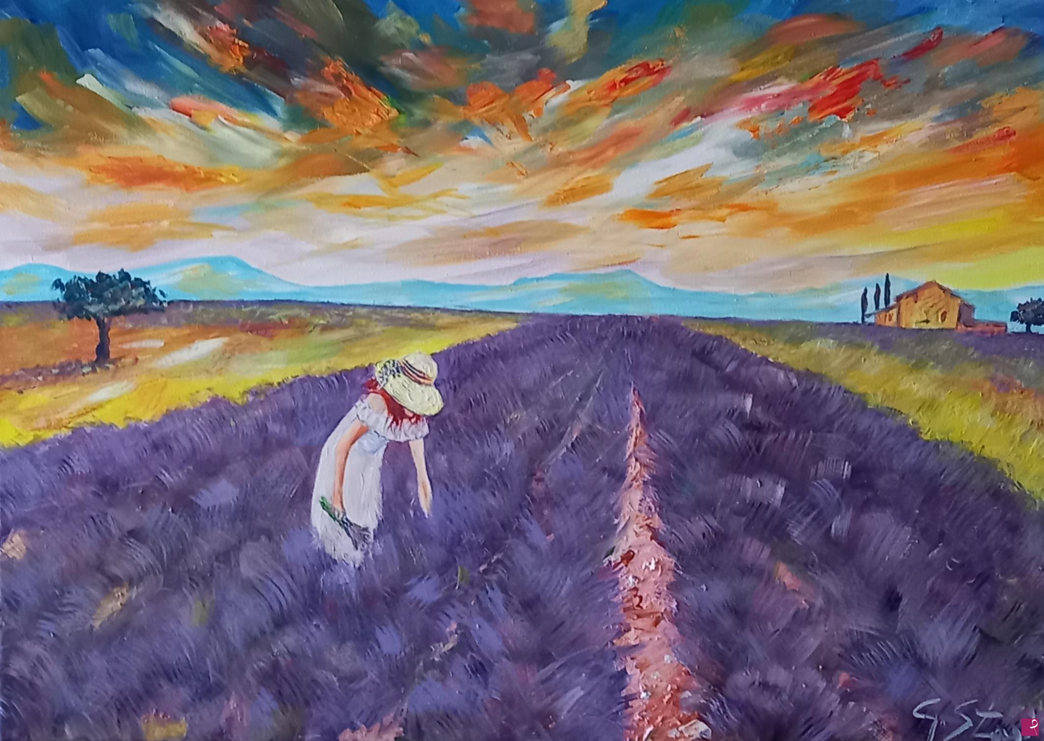 quadri in vendita online - provenza al tramonto