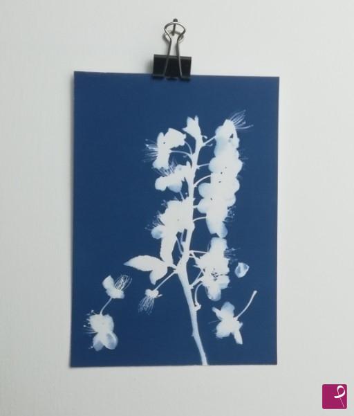 quadri in vendita online - prunus cerasifera