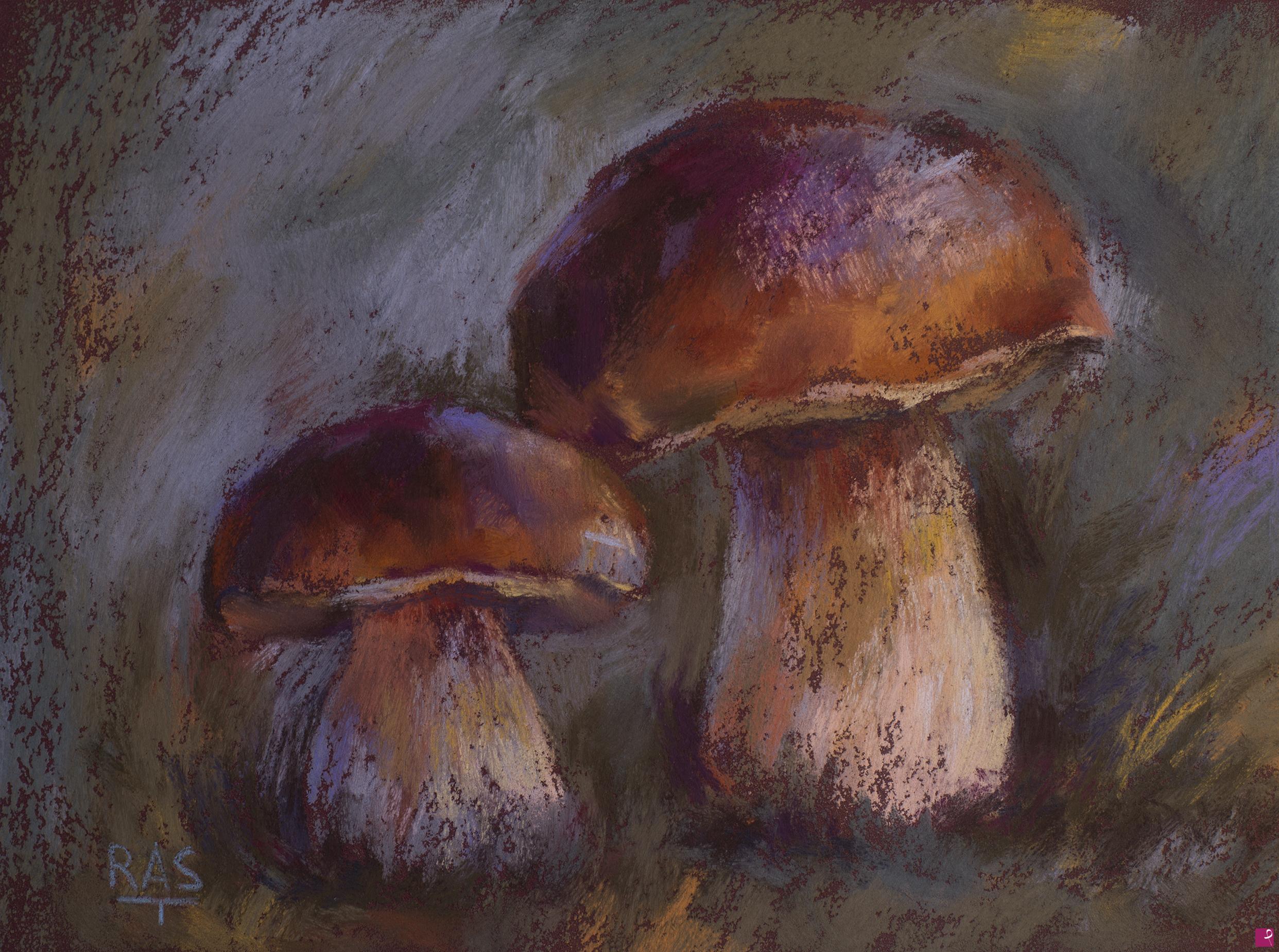 quadri in vendita online - Quadro moderno funghi porcini