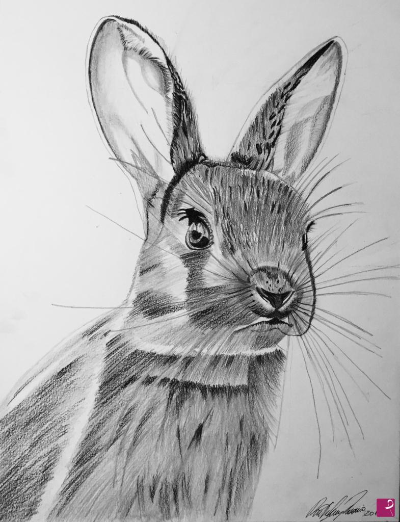 quadri in vendita online - Rabbit